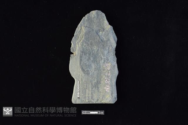 戈形器藏品圖，第2張