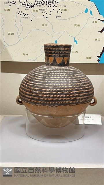 鋸齒環帶紋壺藏品圖，第1張