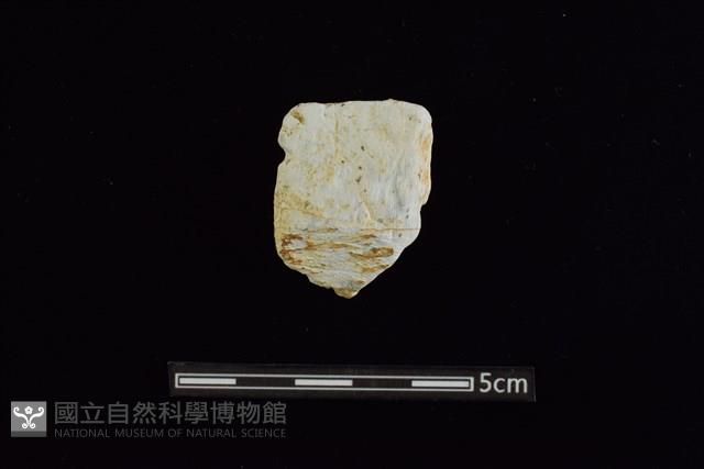 玉料藏品圖，第2張