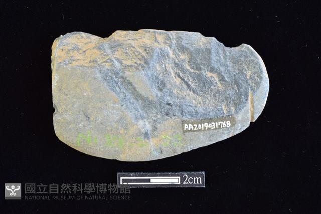 網墜藏品圖，第2張