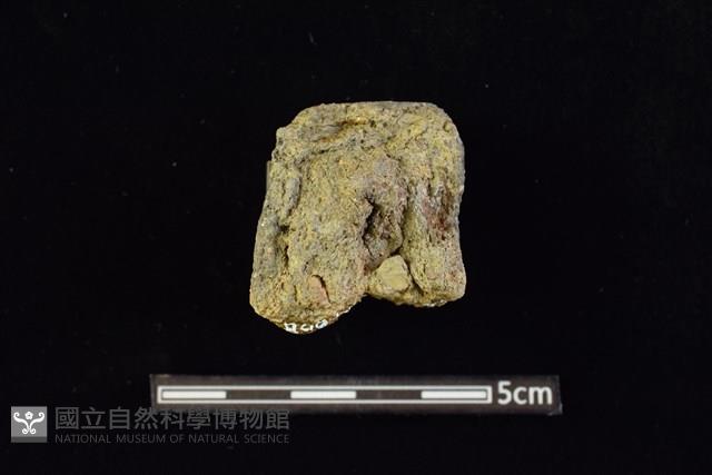 陶蓋及陶蓋鈕藏品圖，第2張