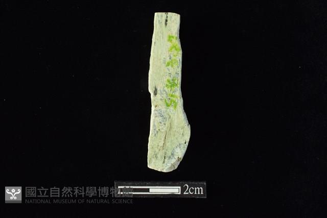 錛鑿形器藏品圖，第2張