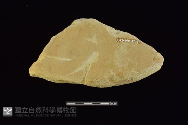 砥石藏品圖，第2張