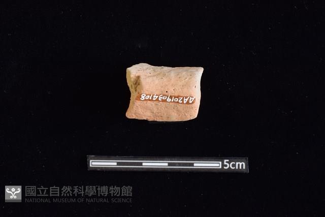 陶罐藏品圖，第2張