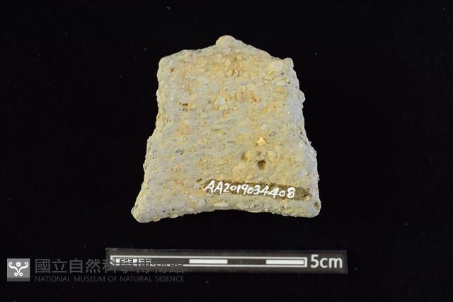 陶罐藏品圖，第2張