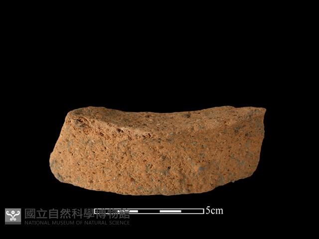 陶片藏品圖，第1張