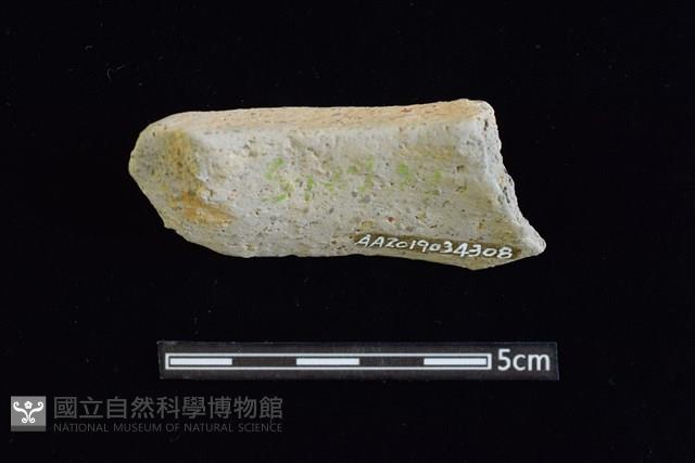 陶罐藏品圖，第2張