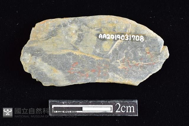 網墜藏品圖，第2張