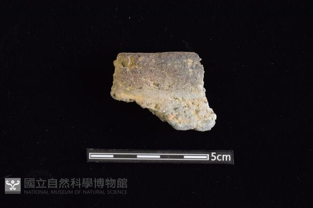 陶罐藏品圖，第1張