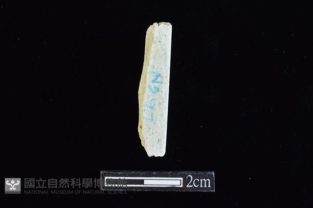 錛鑿形器藏品圖，第2張