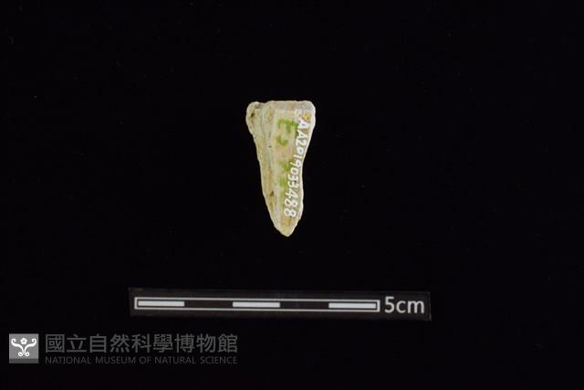 玉料藏品圖，第2張