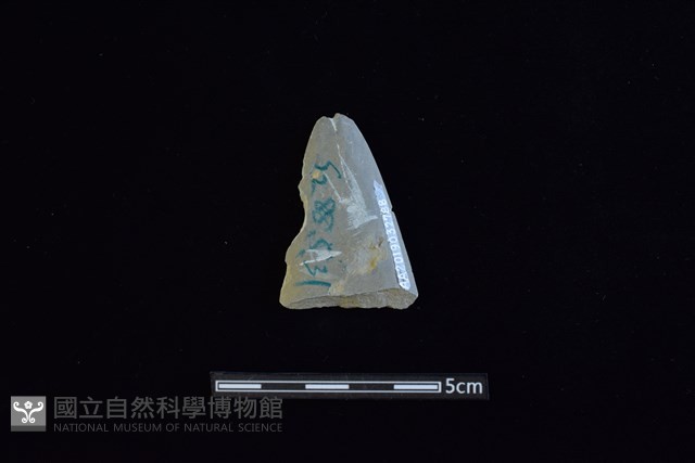 矛鏃形器藏品圖，第2張