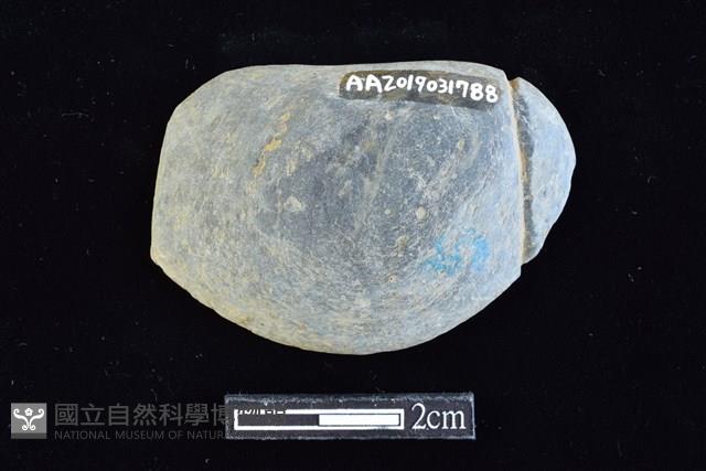 網墜藏品圖，第2張