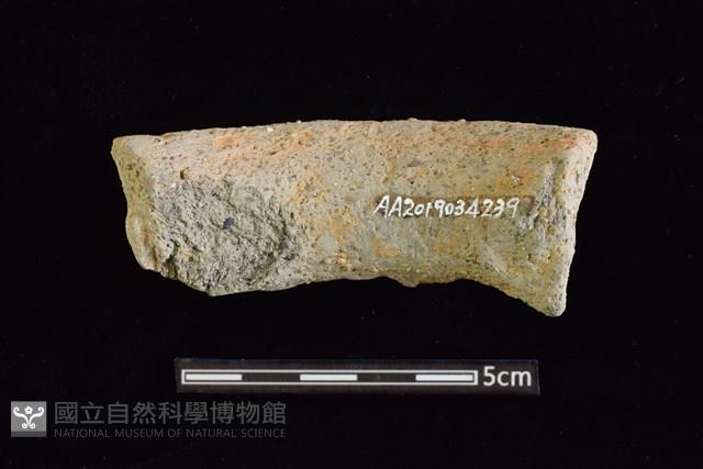 陶罐藏品圖，第2張