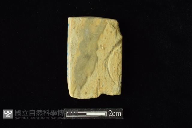 錛鑿形器藏品圖，第2張