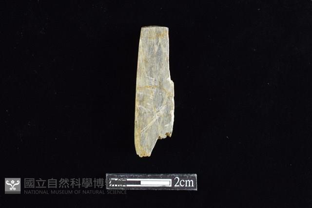 錛鑿形器藏品圖，第2張