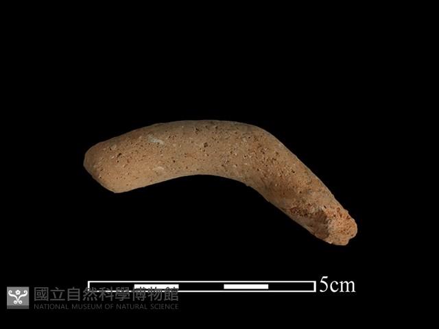 陶把藏品圖，第1張