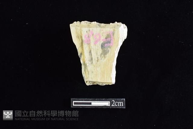 錛鑿形器藏品圖，第2張