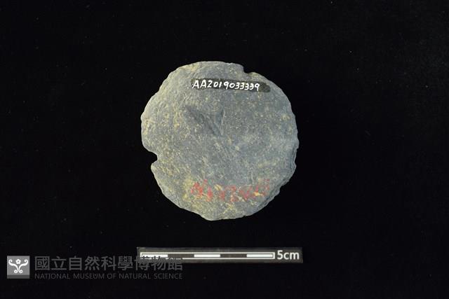 石圓片藏品圖，第2張