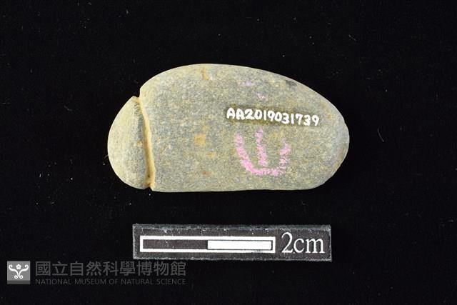 網墜藏品圖，第2張