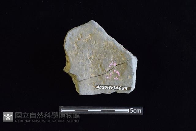 陶片藏品圖，第2張