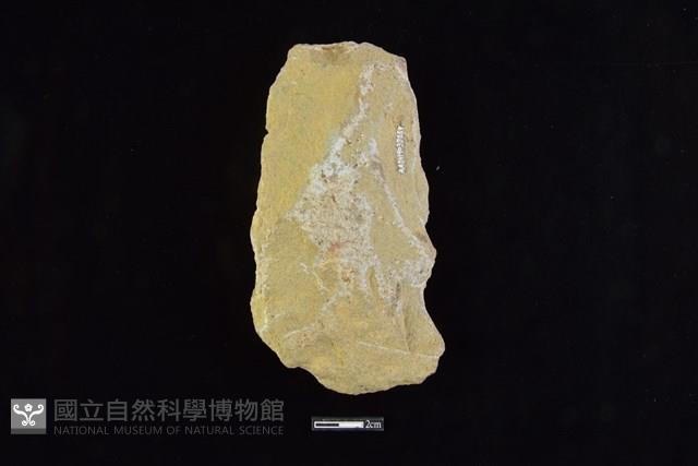 斧鋤形器藏品圖，第2張