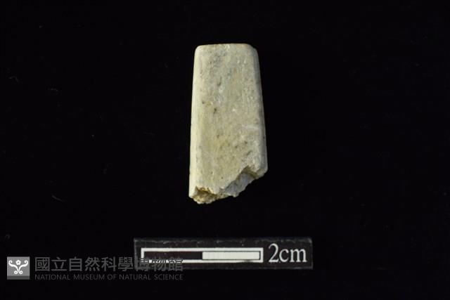 錛鑿形器藏品圖，第2張