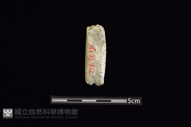 玉料藏品圖，第2張