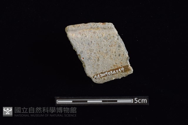 陶罐藏品圖，第2張