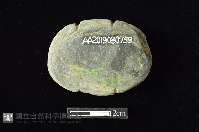 網墜藏品圖，第2張