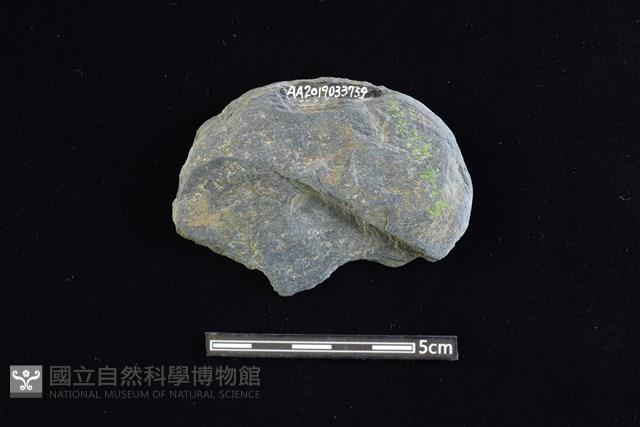 石圓片藏品圖，第2張