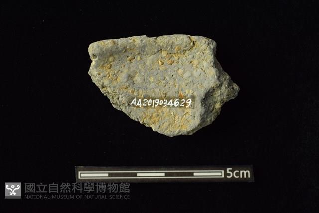 陶容器藏品圖，第2張