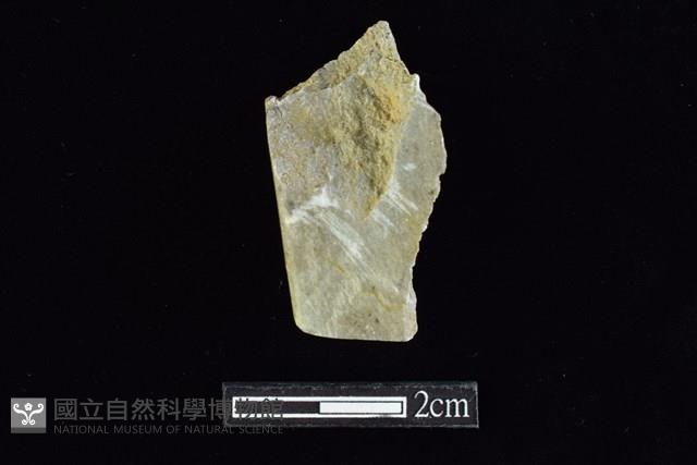 錛鑿形器藏品圖，第2張