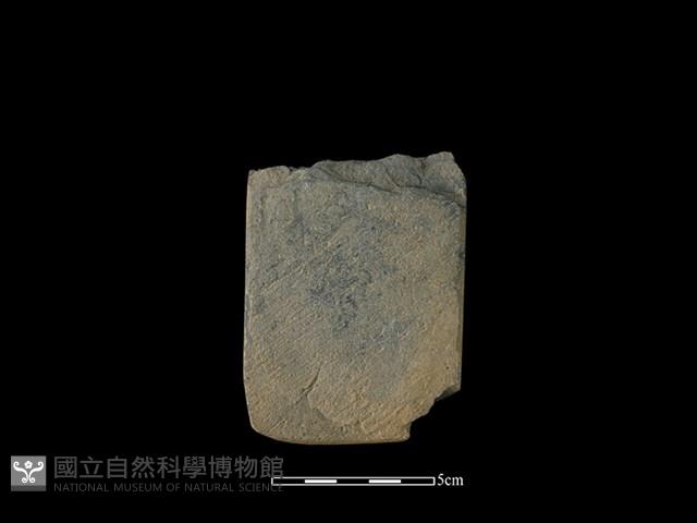 磨製斧鋤形器藏品圖，第2張