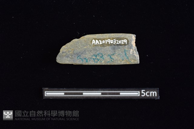網墜藏品圖，第2張