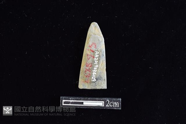 矛鏃形器藏品圖，第2張