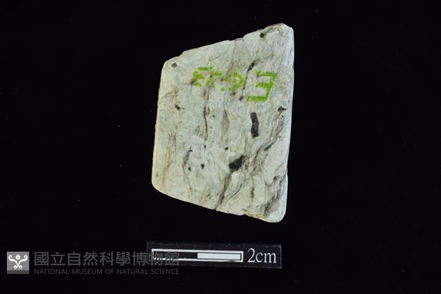 錛鑿形器藏品圖，第2張