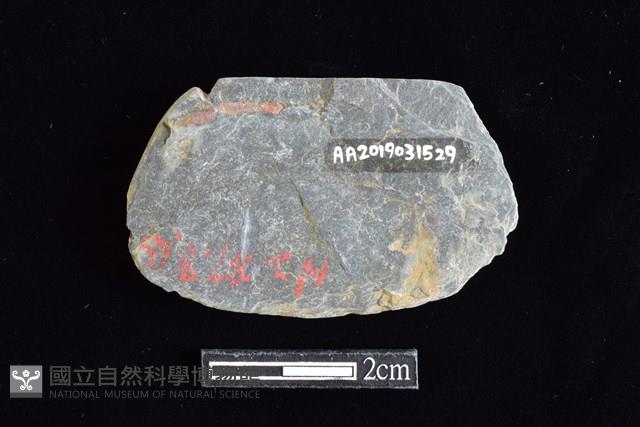 網墜藏品圖，第2張