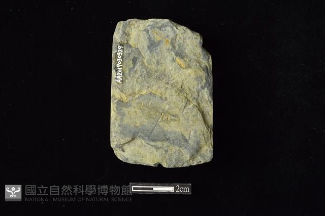 錛鑿形器藏品圖，第2張