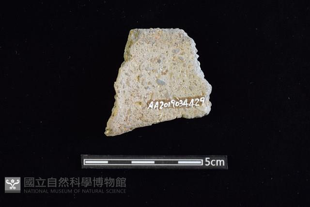 陶罐藏品圖，第2張