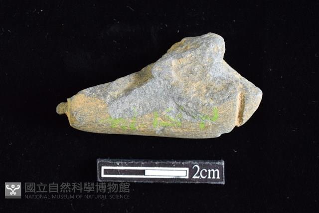 網墜藏品圖，第1張