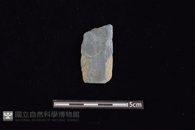 矛鏃形器藏品圖，第1張