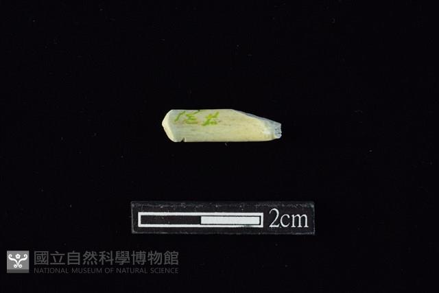 玉料藏品圖，第2張