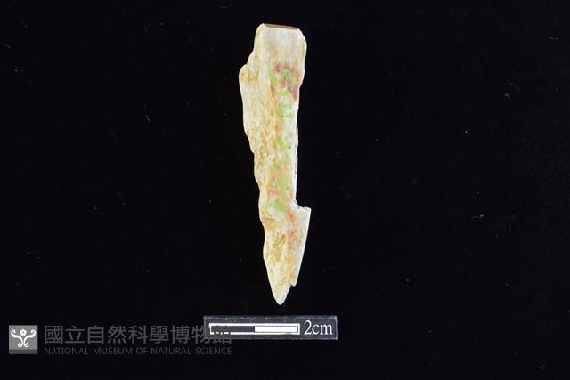 錛鑿形器藏品圖，第2張