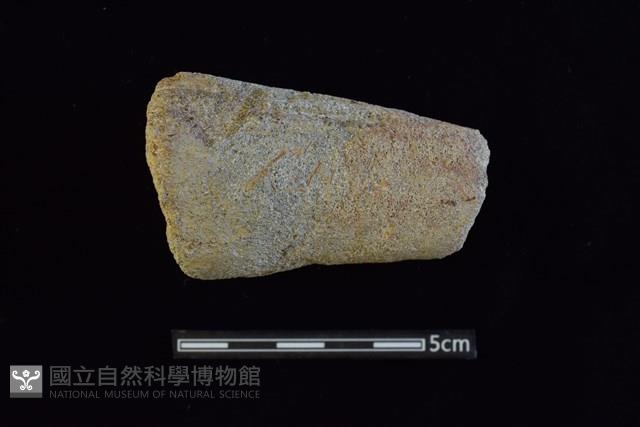 Accession Number:AA2019033979 Collection Image, Figure 1, Total 2 Figures