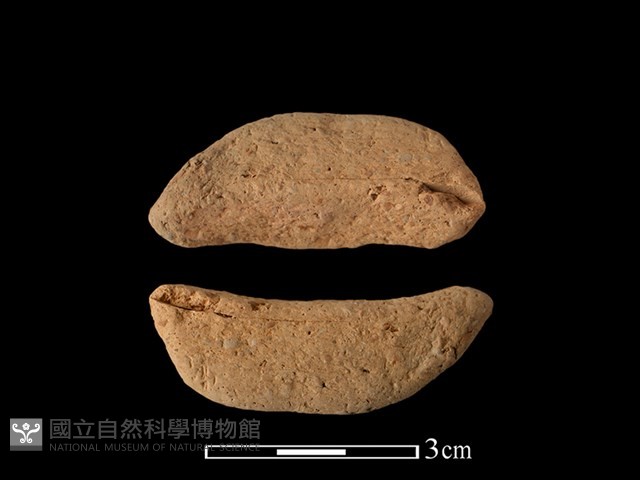 陶耳藏品圖，第1張