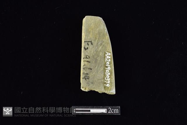 錛鑿形器藏品圖，第2張