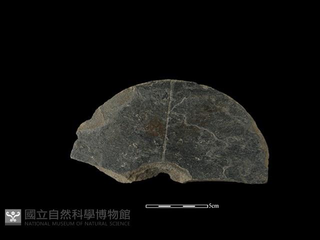 圓板形石器藏品圖，第2張