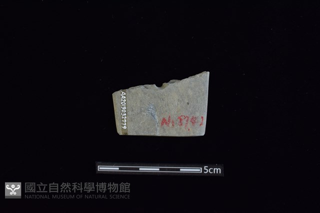 矛鏃形器藏品圖，第2張