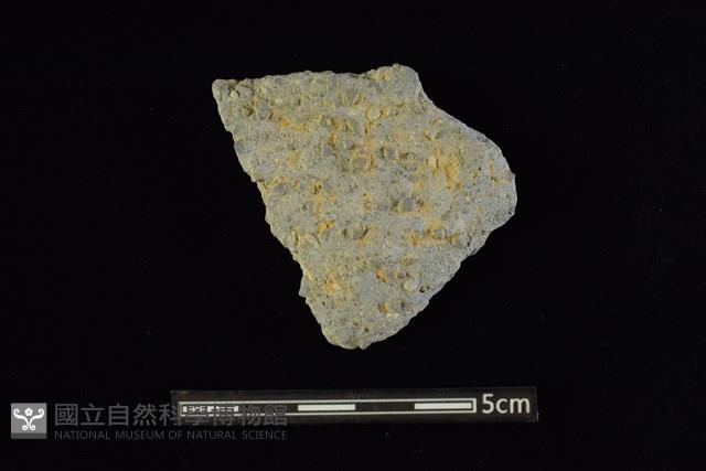 陶片藏品圖，第2張